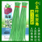 [补贴10%]蔬菜种子四季播盆栽阳台庭院辣椒番茄甜瓜黄瓜简单秋易种籽孑大全