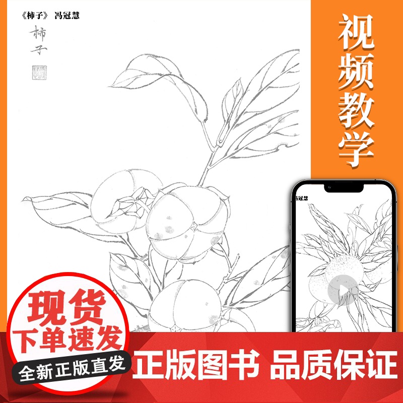 中国画白描入门描摹本国画工笔果蔬美术套装画本工具描红书初学者画画临摹画册毛笔绘画练习教材高清大图