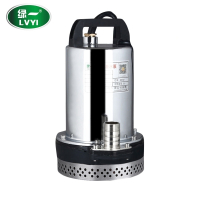 绿一(Lvyi)直流水泵家用12V自吸水泵抽水泵微型不锈钢潜水泵农用抽水机 24V(120瓦)1寸配 3米线