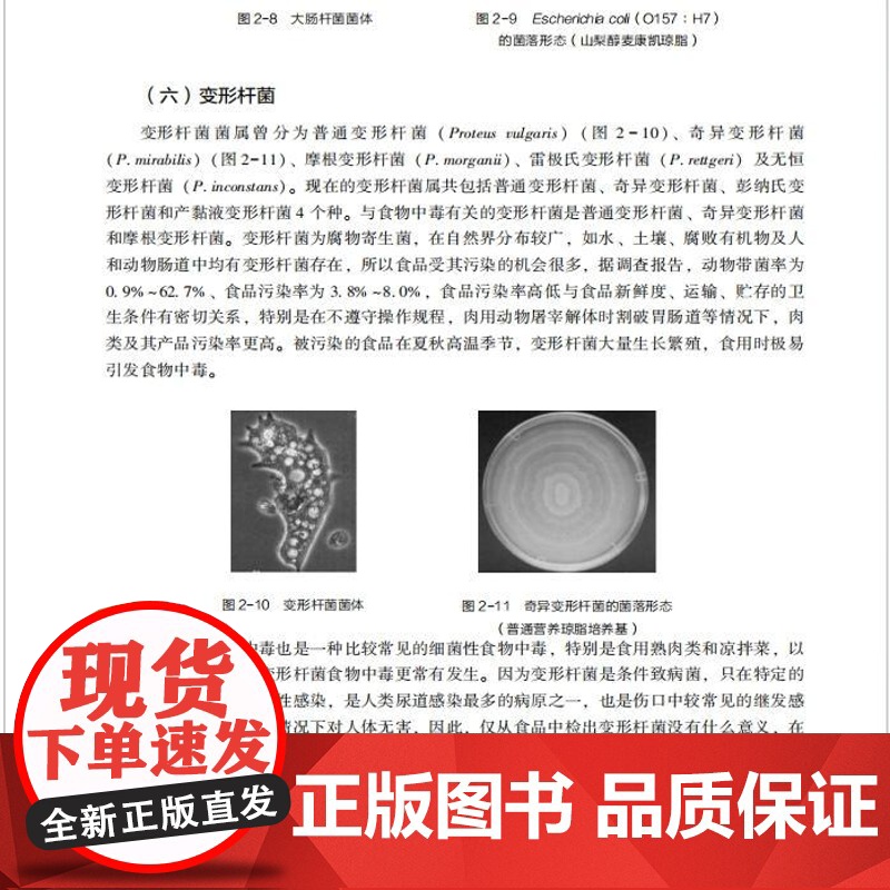 教材.食品安全与卫生第二版中国轻工业十四五规划教材/高等学校食品科学与工程类专业教材王颖易华西主编出版年份2024年最新高清大图