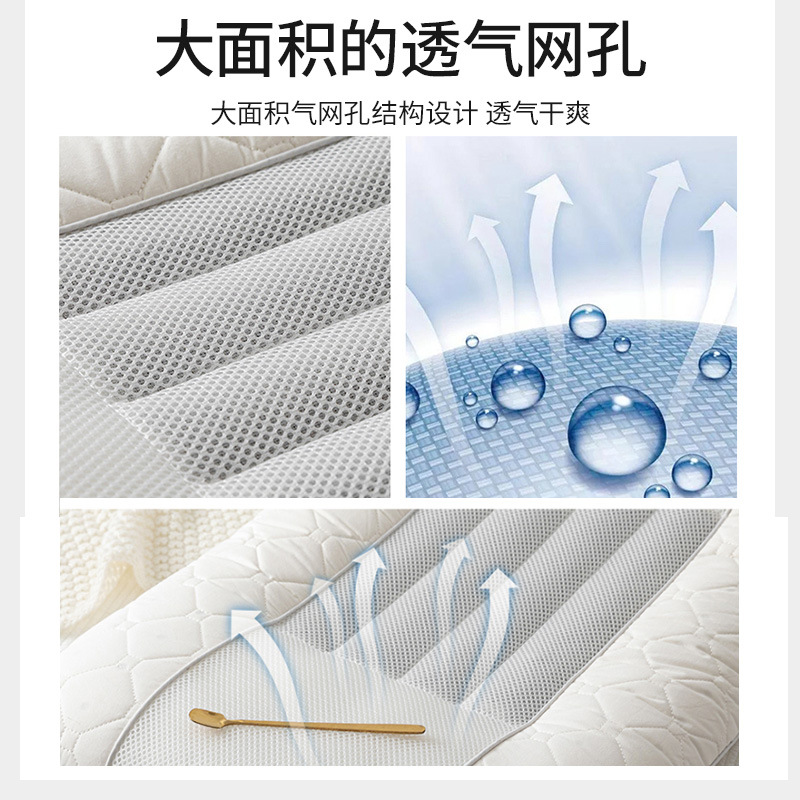 枕头决明子单人学生宿舍双人乳胶感家用枕芯YQ 白色-48*74(单只装)高清大图