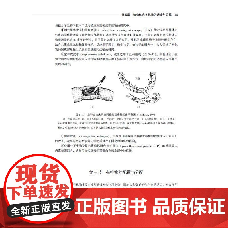 教材.植物生理学(中国轻工业“十四五”规划立项教材 高等学校植物生产类专业应用型本科教材)龚月桦,何龙飞主编出版年份20