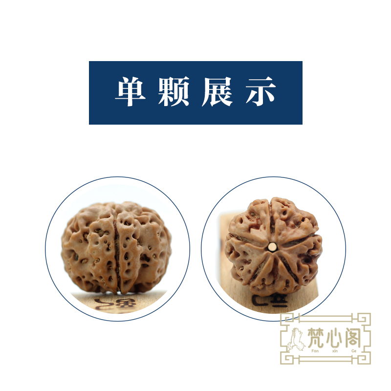 [梵心阁]古龙梅花双龙 蜂窝双龙高端5瓣尼泊尔大金刚菩提飞碟矮桩爆肉