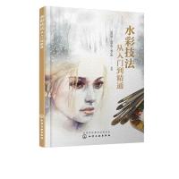 正版新书]水彩技法从入门到精通吴传景 著9787122335944