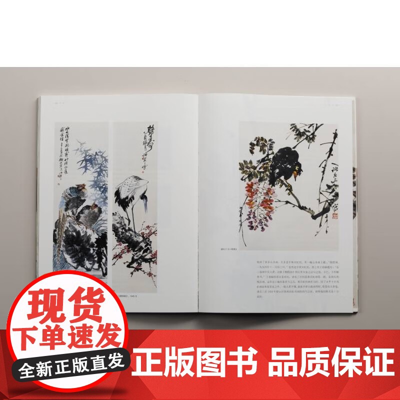 名家:潘天寿、诸乐三、钱君匋 卢炘杨振宇主编艺术收藏鉴赏上海书画出版社高清大图