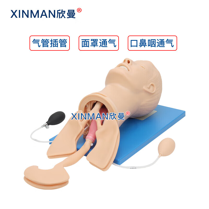 欣曼科教 高级全功能气道管理模型 高级气道管理模拟人XM-QD11高清大图