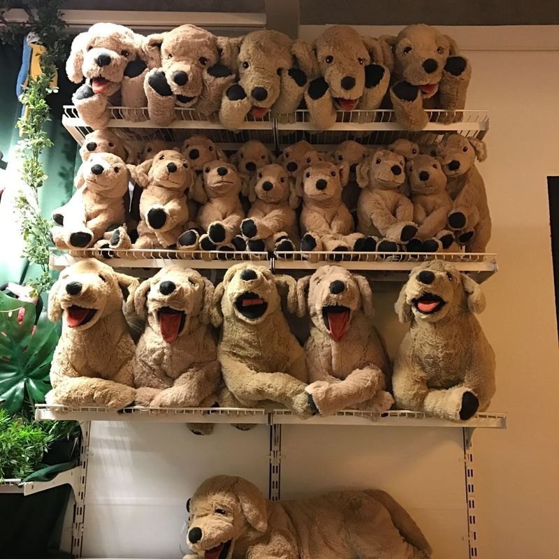 迪仕盾(dishidun)毛绒公仔 宜家ikea家居 古西格 格登 小黄狗 大狗狗