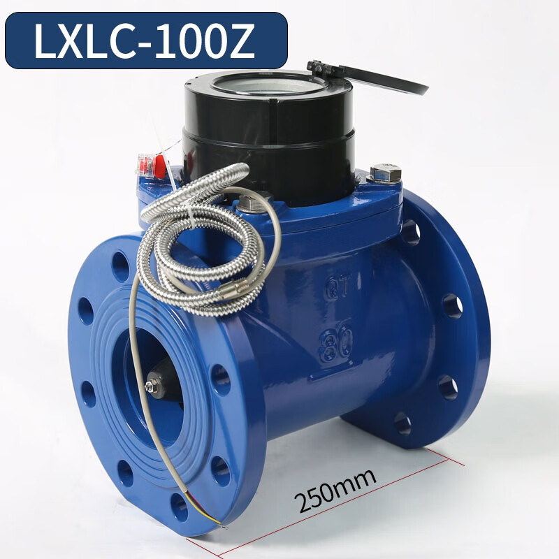 宁波牌LXLC-100Z水表 (含检测)货期7-10天高清大图