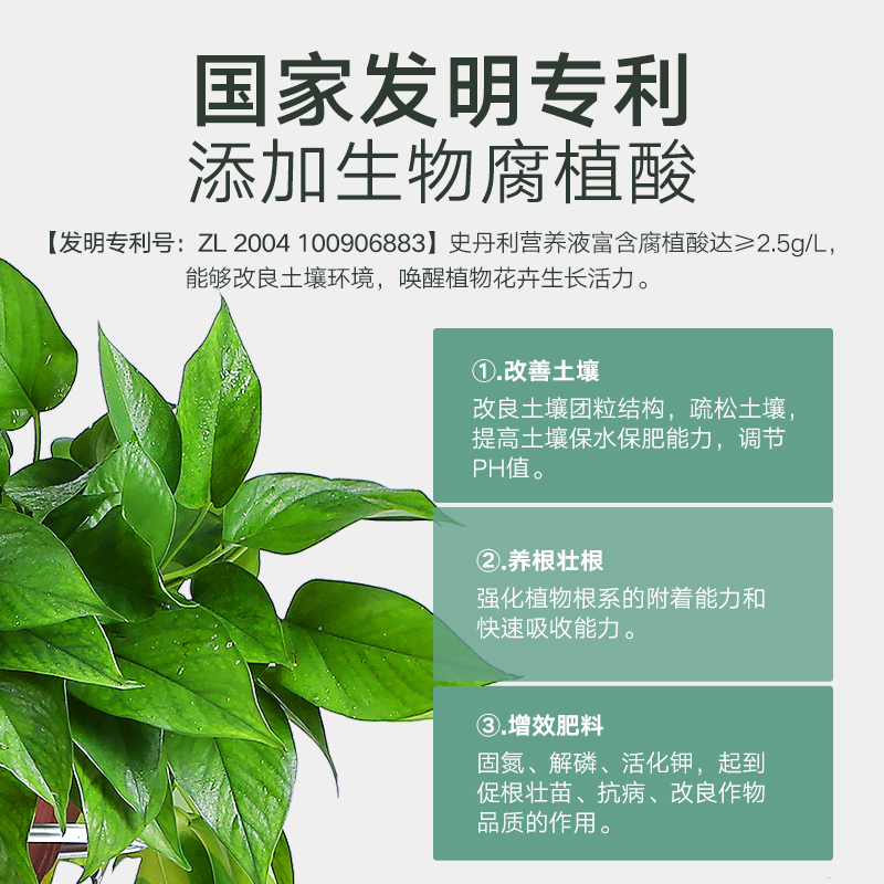 [正版图书]史丹利营养液花肥料家用盆栽植物通用型水培发财树富贵竹花卉绿植高清大图