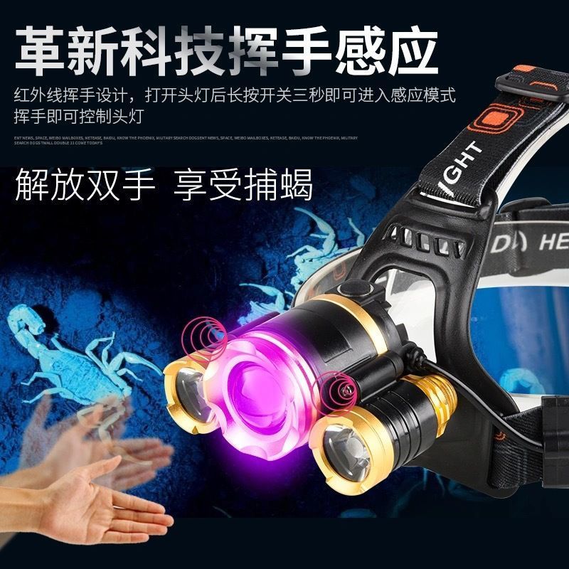 超亮捕蝎子灯紫光头灯强光变焦远射头戴抓捉照逮豆虫大光圈感应L 买捕蝎头灯送2个25CM长镊子 单头变焦不感应蝎子头灯2电