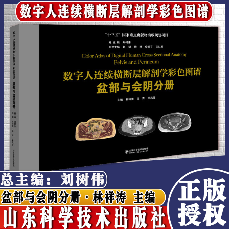 腹部分册 [正版]正品 数字人连续横断层解剖学彩色图谱 全套6本 腹部+盆部与会阴+上肢+下肢+头颈部+胸部分册 山东科