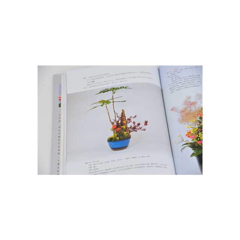 [醉染正版][书中国插花艺术花艺书籍养花插花艺术花书花卉百科种植养殖大全绿植手册盆景造型图鉴园艺花艺师植物素材园艺师基础高清大图