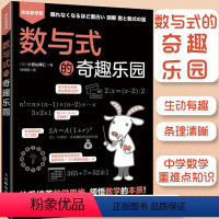 [正版]出版社数与式的奇趣乐园 欢乐数学营 初中小学高年级五六年级趣味数学书思维逻辑训练学习数学重难点本质科学公式之美