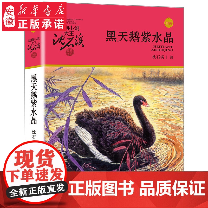 正版 黑天鹅紫水晶 动物小说大王沈石溪品藏书系中小学生课外书籍7-12-14岁儿童文学读物学校老师寒暑假阅读书高清大图