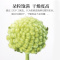 半山农 绿萝茶 结香花茶 精选品质 绿茶花草茶叶养生茶饮 结香花蕾无碎花 罐装干货 125g/瓶
