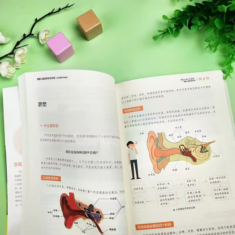 [正版]图解儿童感觉统合训练 全彩图解实操版 感统基本理论科普书籍0-12岁婴幼儿家庭教育育儿百科自闭症智力障碍儿童训