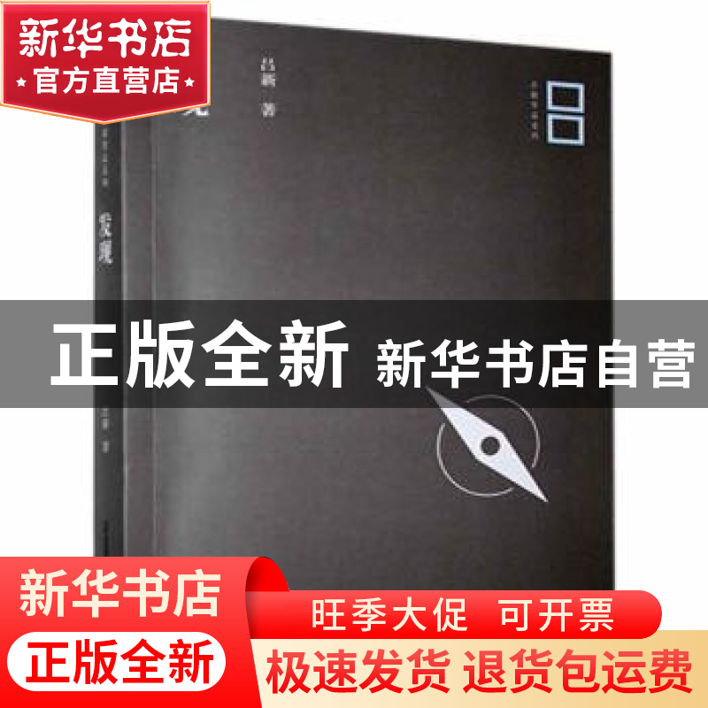 正版 发现 吕新著 北岳文艺出版社 9787537853897 书籍高清大图