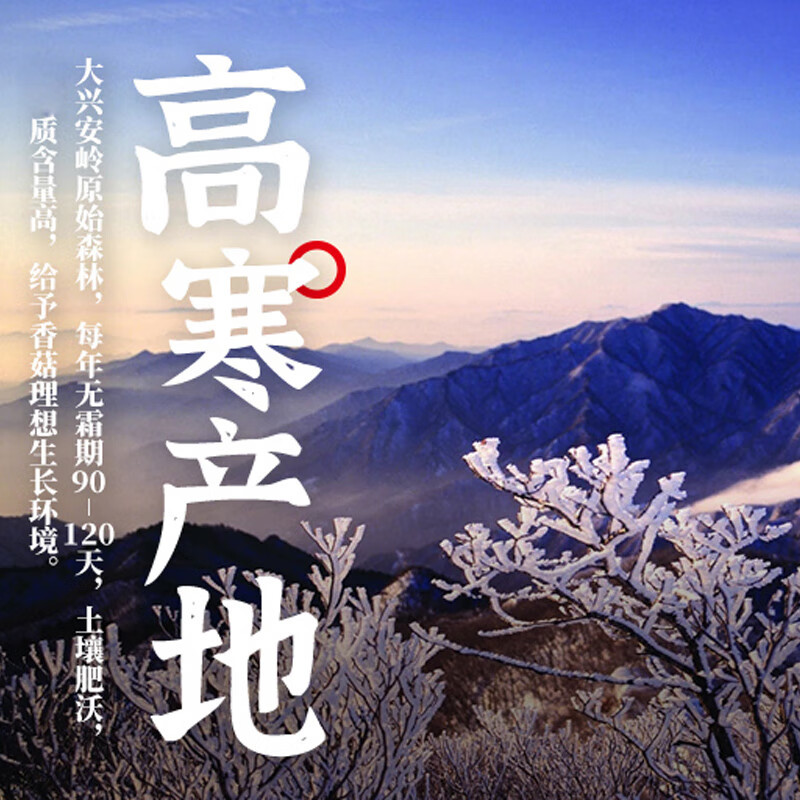 北大荒北大荒东北香菇蘑菇干货袋装100g