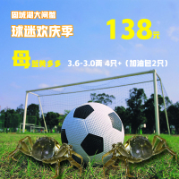 【现 货】固城湖大闸蟹 全母3.6-3.0两 4只装 鲜活螃蟹 球迷定制