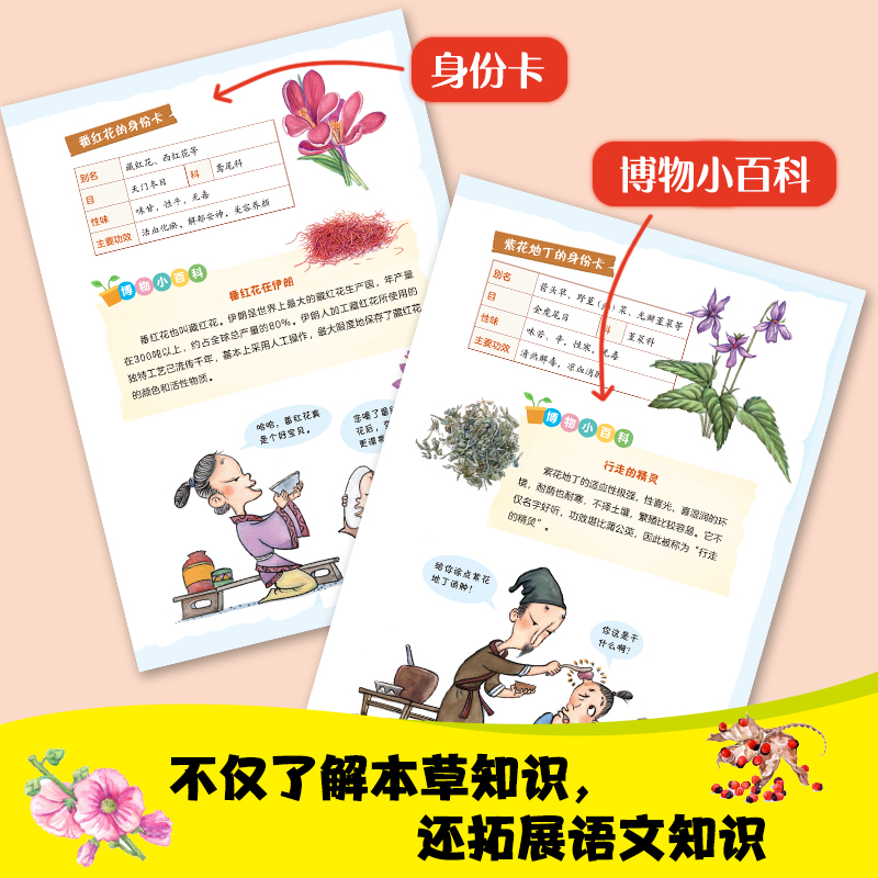 漫画本草纲目全6册 [正版]漫画本草纲目画给孩子的博物大百科全6册 草部 木部果部菜土石部 精美手绘加趣味漫画让孩子轻松高清大图