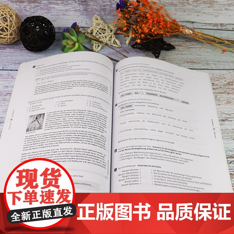 德语自学入门教材交际德语教程练习与测试B2/1上海外语教育出版社大学德语专业欧标德语德福考试练习习题教材辅导书籍高清大图