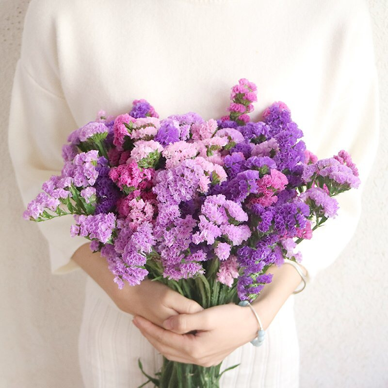 云南勿忘我花束500g 满天星绿植好看三色混搭