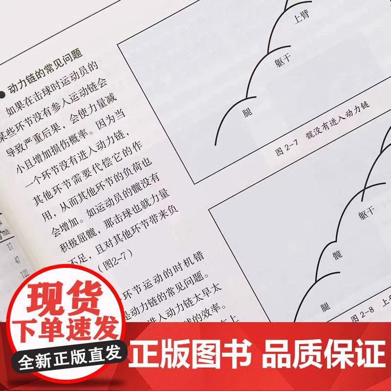 正版 网球运动教程 高等教育体育学教材 网球运动教程编写组 网球训练 专业训练教程 北京体育大学出版社高清大图