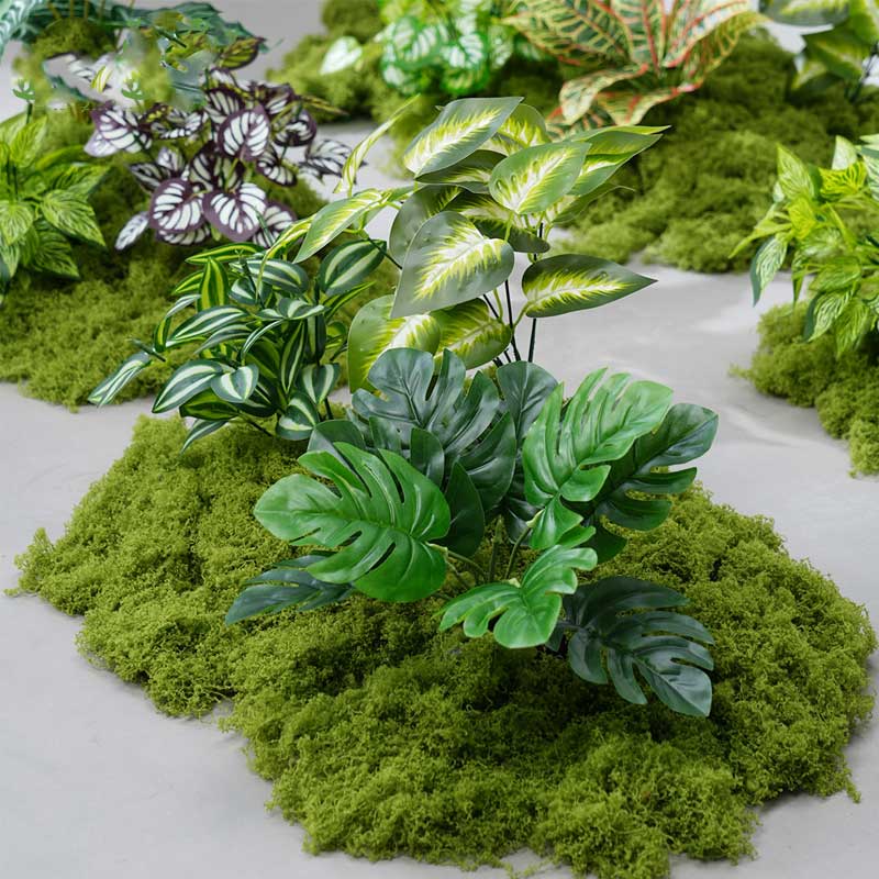 环孤 仿真绿植装饰植物 长60x宽40x高70cm BY60-4高清大图