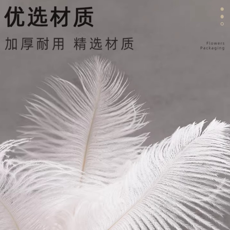 羽毛25-30cm5根/包 (单位:包)高清大图