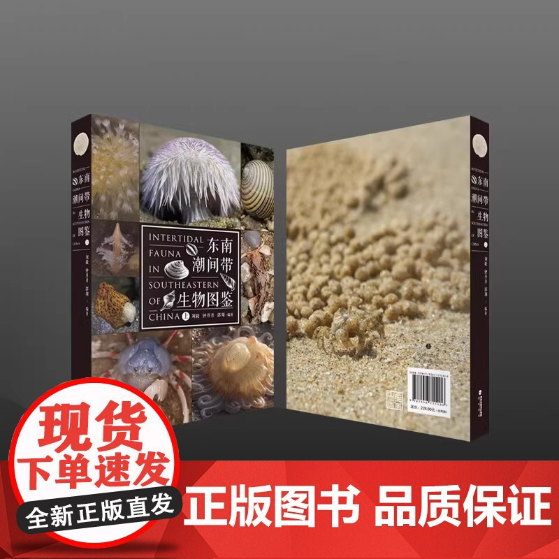 正版 东南潮间带生物图鉴 海峡书局 海洋生物赶海手册 赶海指南海洋生物图鉴海洋生态环境中国螃蟹 科普百科水生动物图谱