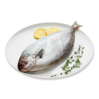 简单滋味 阿根廷雪花鲳鱼 600g 海鲜水产