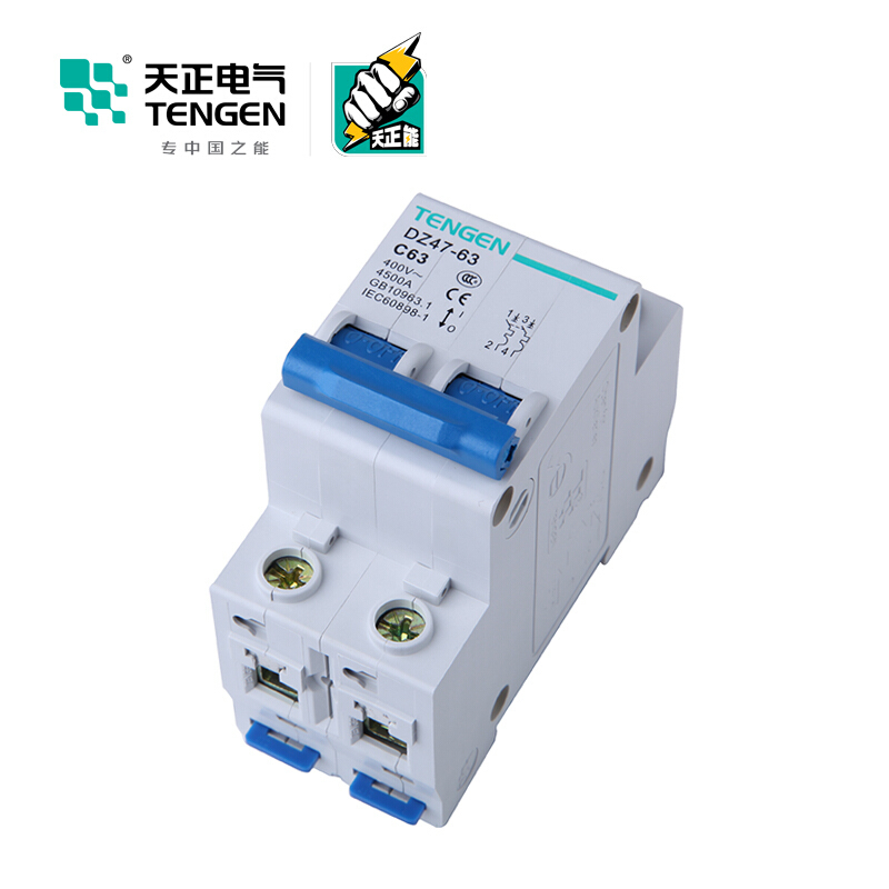 天正电气 空气开关 DZ47-63 2P C 63A 4.5KA 01060020274 微型断路器
