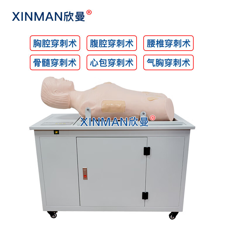 欣曼科教 综合穿刺模拟人 综合穿刺术与叩诊检查训练模型XM-ZHC1
