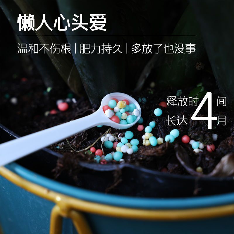 花卉绿植控释肥通用长效温和颗粒缓释肥绿萝蔬菜种植营养生物肥料-缓释肥;2瓶-600g高清大图