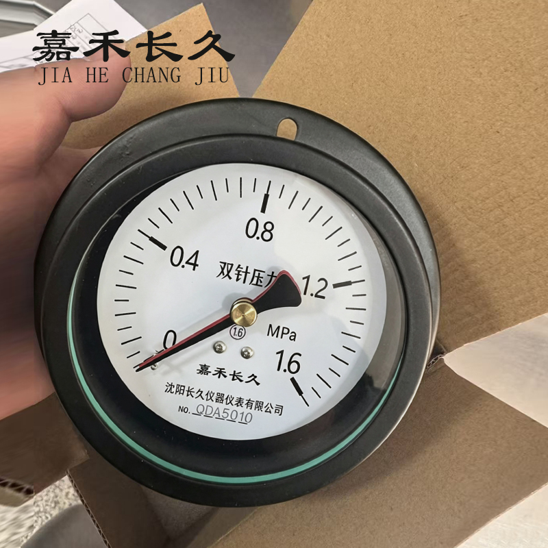 嘉禾长久 双针压力表 Y100ZT 0-1.6MPa 块高清大图