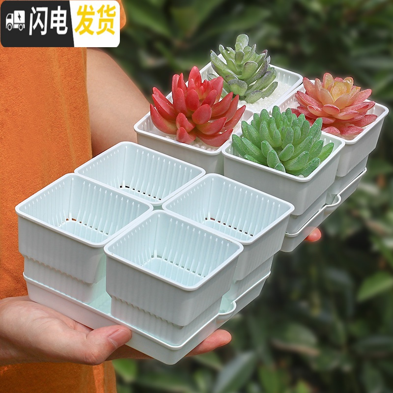 三维工匠多肉花盆带托盘肉肉套装组合透气塑料控根控型盆器 [2套][0.9元]小黑托+4个黑盆(7cm盆) 小花盆容器