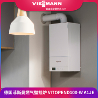 国产普通Vitopend 100-W A1JE 两用式 24KW