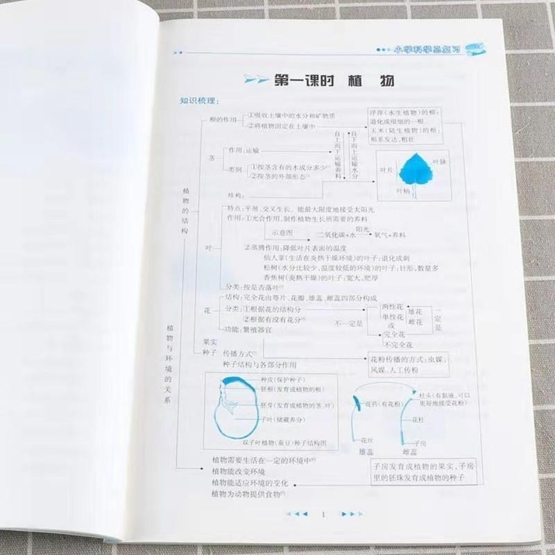 小学毕业班科学总复习 2021小学毕业班总复习科学小升初复习资料小升初必刷题六年级下册