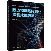 瞬态物理场阵列化探测成像方法