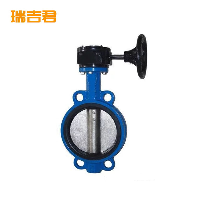 瑞吉君 涡轮对夹蝶阀 DN40 个高清大图