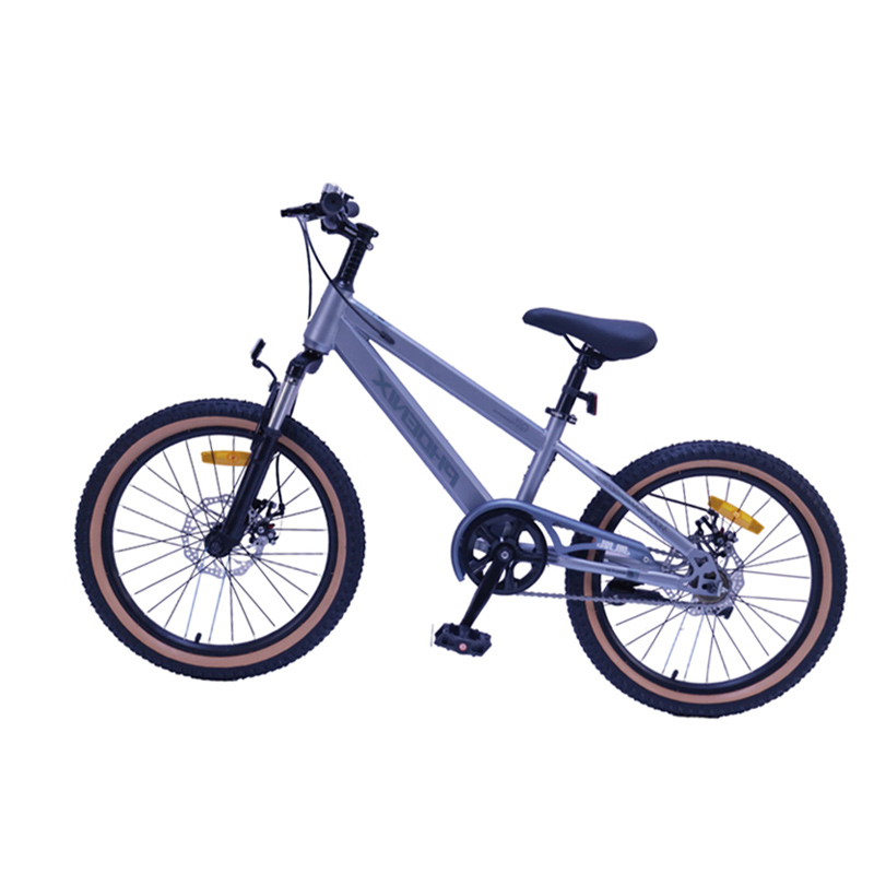 凤凰(PHOENIX) 20寸 山地自行车-贝塔puls(辐条轮)摩登灰高清大图