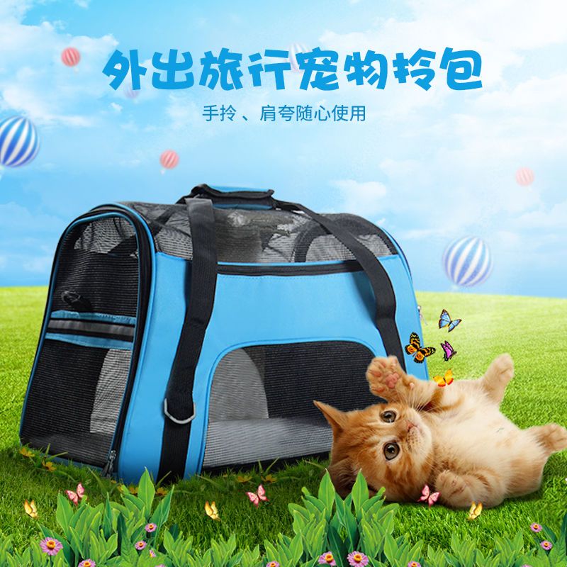 呗町森泰迪外出便携旅行包比熊拎包猫咪背包猫狗背包宠物外出猫包 黑色 尼龙款拎包小号(4斤内宠物)