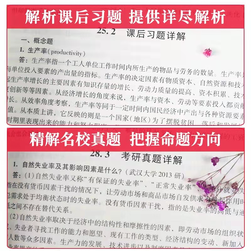 曼昆经济学原理微观+宏观经济学分册 笔记 2本 [正版] 曼昆经济学原理宏观经济学分册第8版八版 笔记和课后习题含考研真