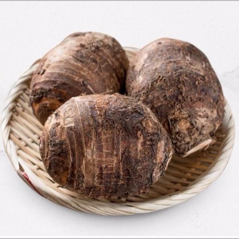 正宗广西荔浦芋头新鲜批发农家新鲜蔬菜现挖现发槟榔紫藤香芋头 1斤