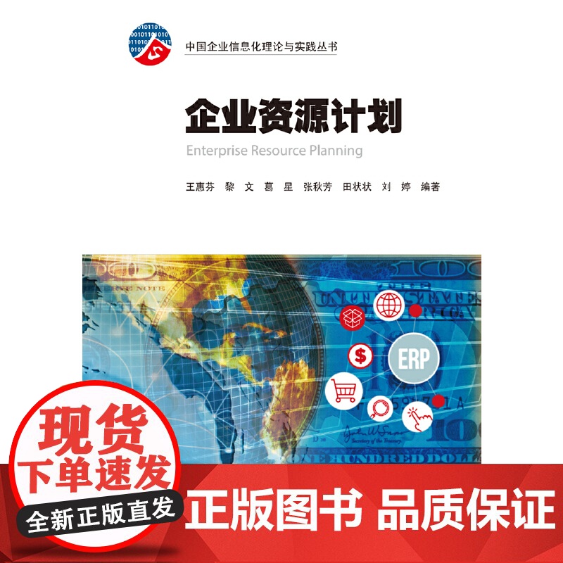 企业资源计划 (中国企业信息化理论与实践丛书)高清大图