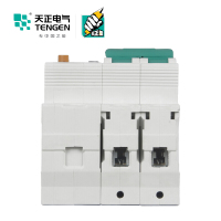 天正电气 空气开关 TGB1NLE-32 2P C 32A 30mA 01070230100 微型漏电保护断路器