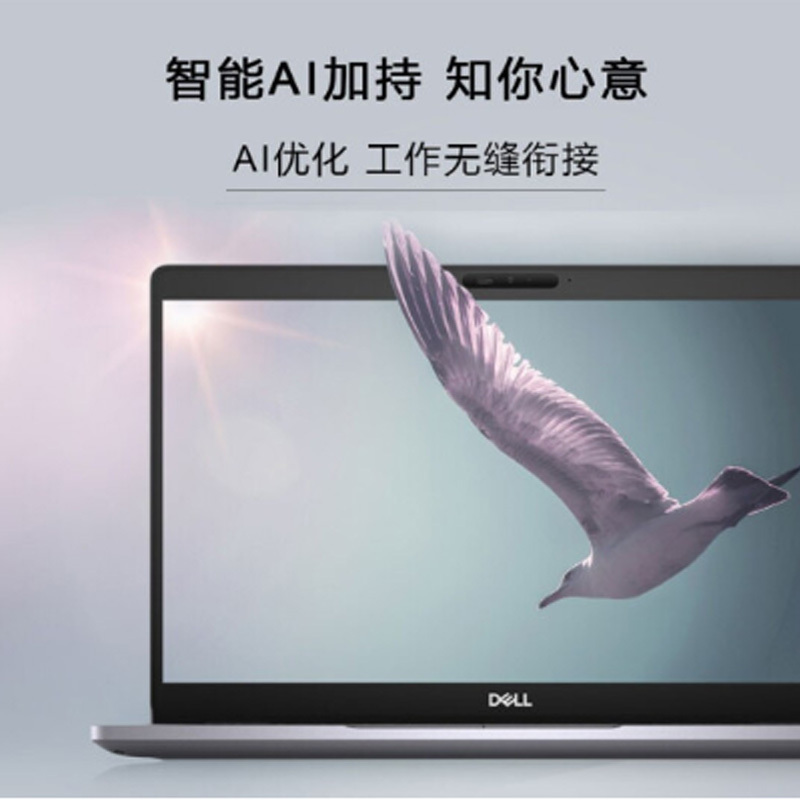 戴尔(DELL) 5410 定制丨i5-10210U丨16G丨256G固态 HD620 核显 1920*1080高分屏