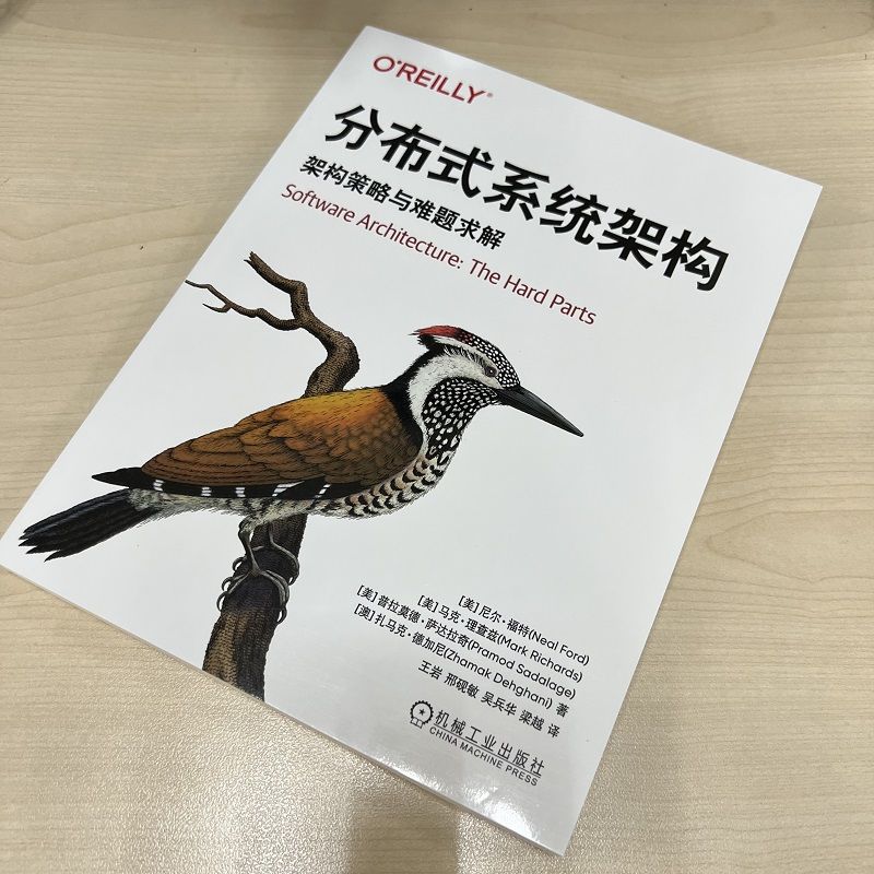 [正版]分布式系统架构:架构策略与难题求解高清大图