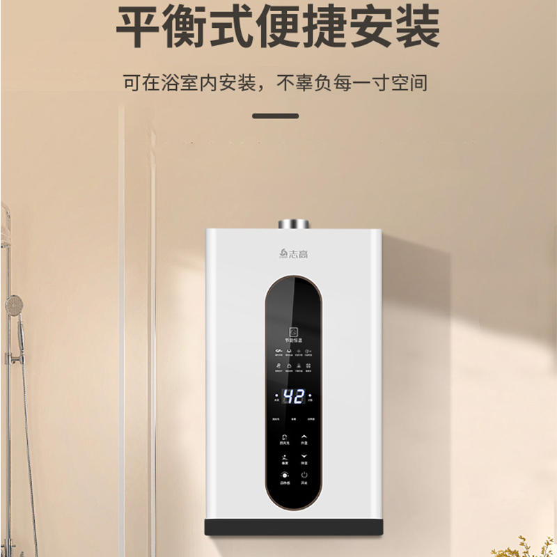 志高燃热热水器天燃气热水器家用出租房厨房热水器8升变频恒温热水器
