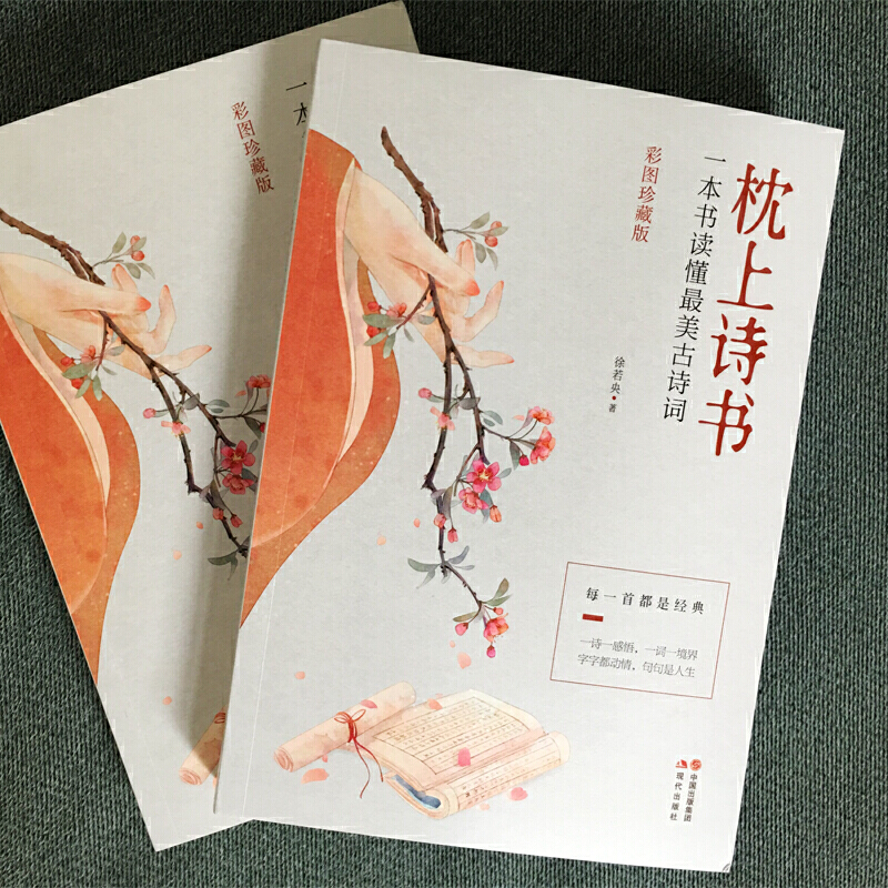 [正版]抖音同款彩图珍藏版 枕上诗书一本书读懂zui美古诗词 中国古诗词诗词大会诗经精选徐若央著 李清照苏轼一诗一故事高清大图